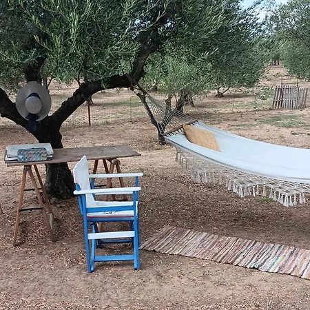 Vakantiehuis With Private Pools 