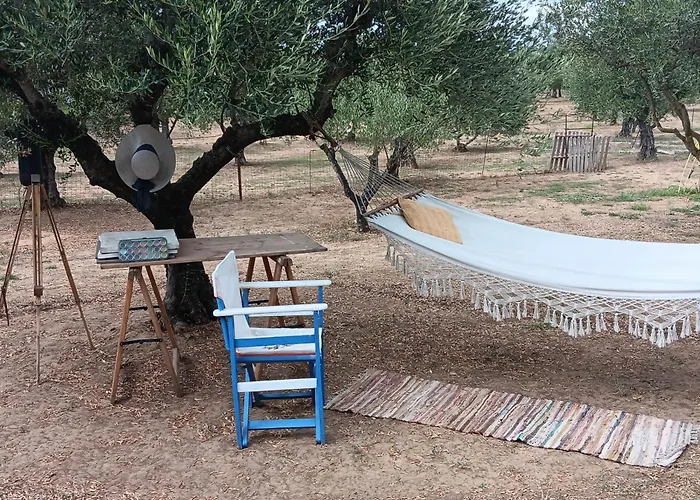 Vakantiehuis With Private Pools 